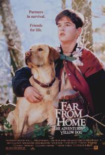 Далеко от дома: Приключения желтого пса/Far from Home: The Adventures of Yellow Dog