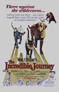 Невероятное путешествие/Incredible Journey, The (1963)