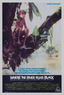Там, где река становится чёрной/Where the River Runs Black (1986)