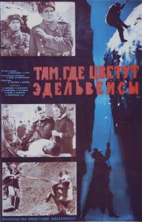 Там, где цветут эдельвейсы/Tam, gde tsvetut edelveysy (1965)