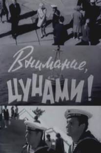 Внимание, цунами/Vnimaniye, tsunami! (1969)