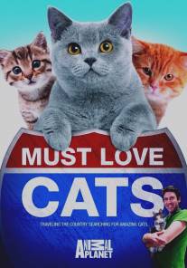 Кошек не любить нельзя/Must Love Cats (2011)
