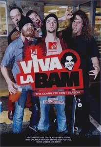 Вива ля Бэм/Viva la Bam (2003)