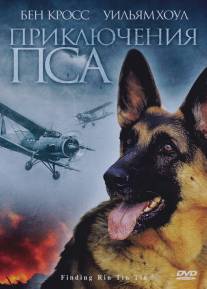 Приключения пса/Finding Rin Tin Tin