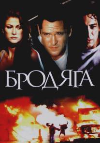 Бродяга/Stray, The (2000)