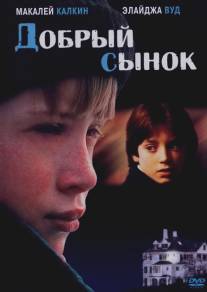 Добрый сынок/Good Son, The