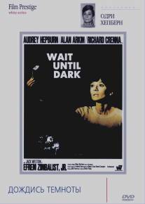 Дождись темноты/Wait Until Dark (1967)