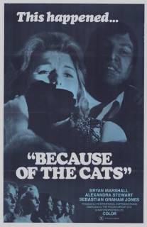 Из-за кошек/Because of the Cats (1973)