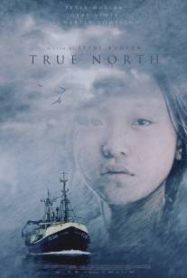 Настоящий север/True North