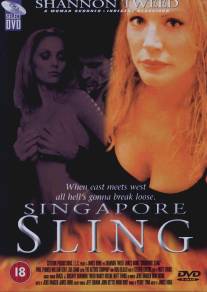 Скандальное поведение/Singapore Sling (1999)