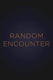 Случайная встреча/Random Encounter (1998)