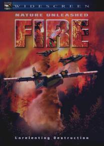 Стихия огня/Nature Unleashed: Fire (2004)