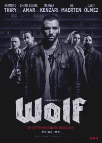 Волк/Wolf