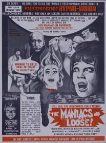 Безумные убийцы/Thrill Killers, The (1964)