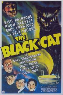 Чёрный кот/Black Cat, The (1941)