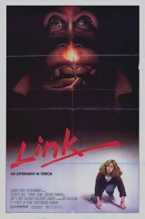 Линк/Link