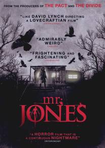 Мистер Джонс/Mr. Jones (2013)