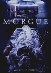 Морг/Morgue, The (2008)