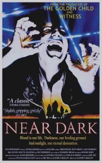 Почти стемнело/Near Dark (1987)