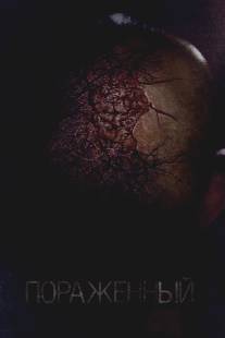 Пораженный/Afflicted (2013)