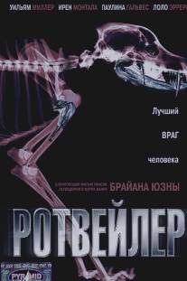 Ротвейлер/Rottweiler