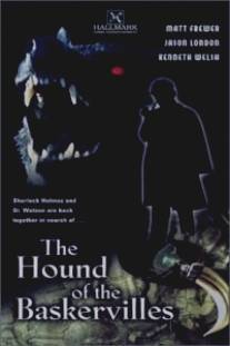 Собака Баскервилей/Hound of the Baskervilles, The (2000)