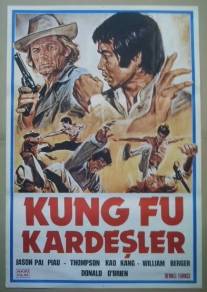 Мастер-убийца/Kung Fu nel pazzo West (1973)