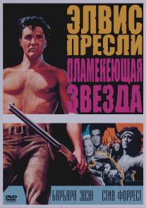 Пламенеющая звезда/Flaming Star (1960)